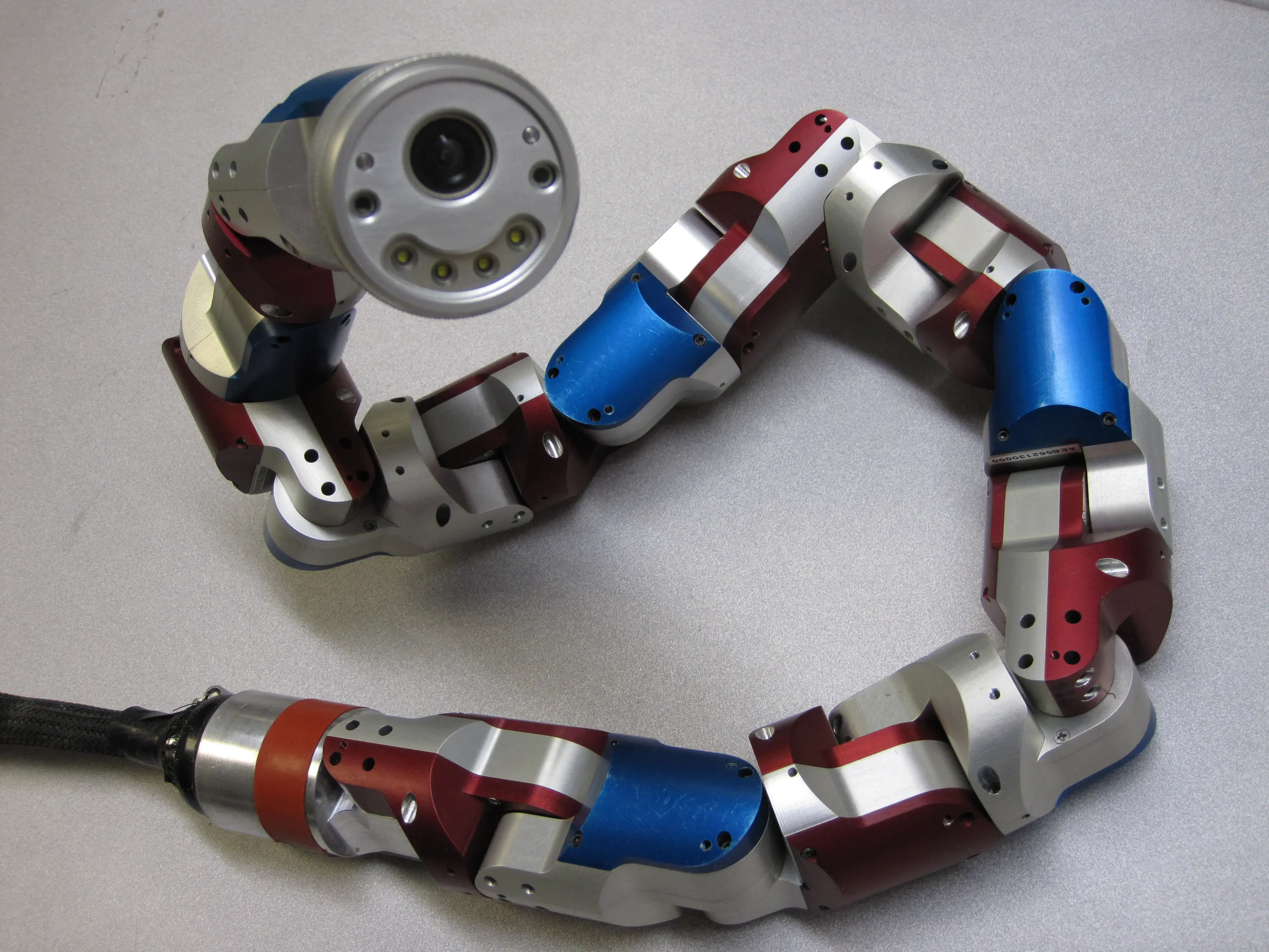 Snake Robot