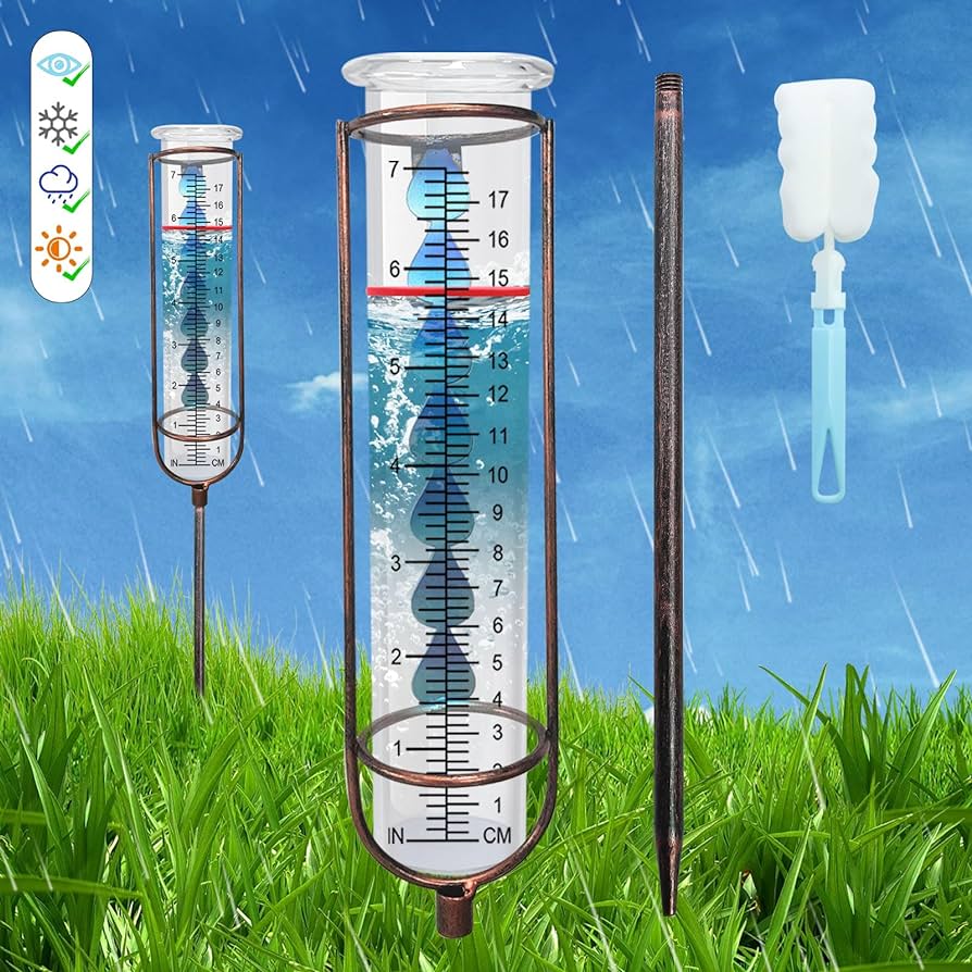 Rainfall Forecasting Platform